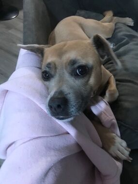 Meet your Posher, Erika